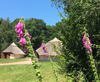 SummerCamp340x280