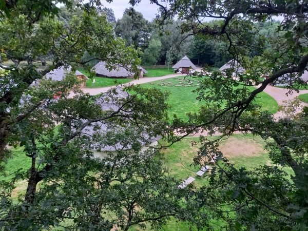 Camp From Trees