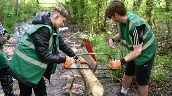 Woodland Workshop - Image 5