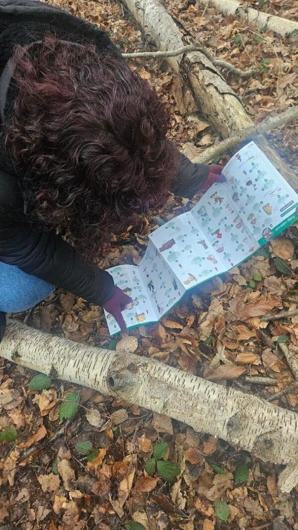 Forest School with Nathalie - Image 4