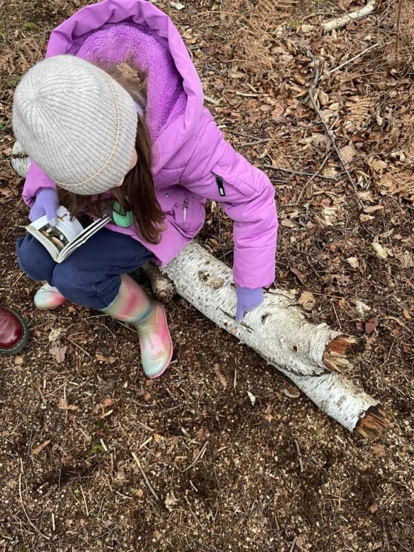 Forest School with Nathalie - Image 2