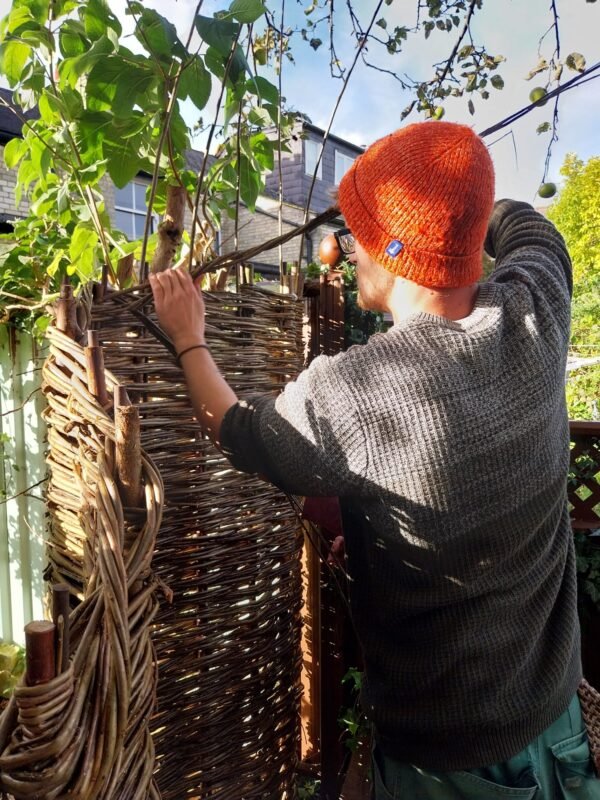 Full Day Willow Workshop - Image 2