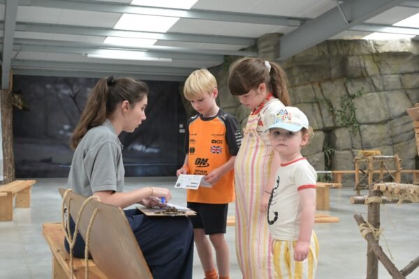 Visitor Experience Volunteer Taster Day