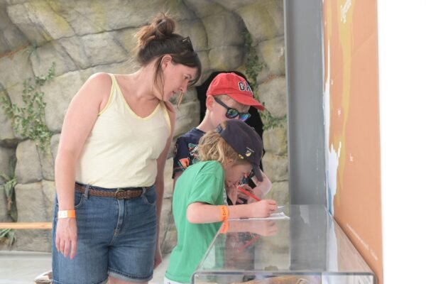 Visitor Experience Volunteer Taster Day - Image 4