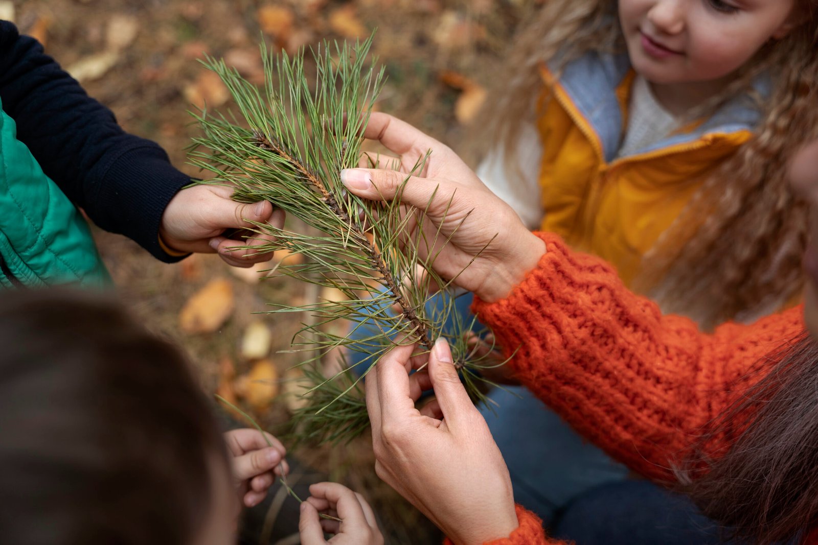 Wreath Making Workshops - Image 2