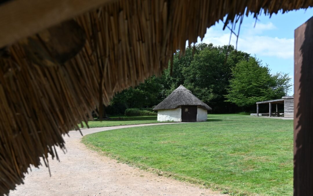 2025 Wrapped: A Year of Prehistoric Magic at Celtic Harmony Camp