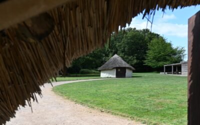 2025 Wrapped: A Year of Prehistoric Magic at Celtic Harmony Camp