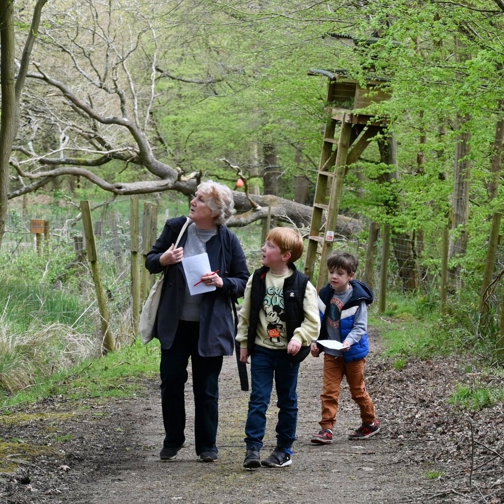 The Faery Trail - Image 7