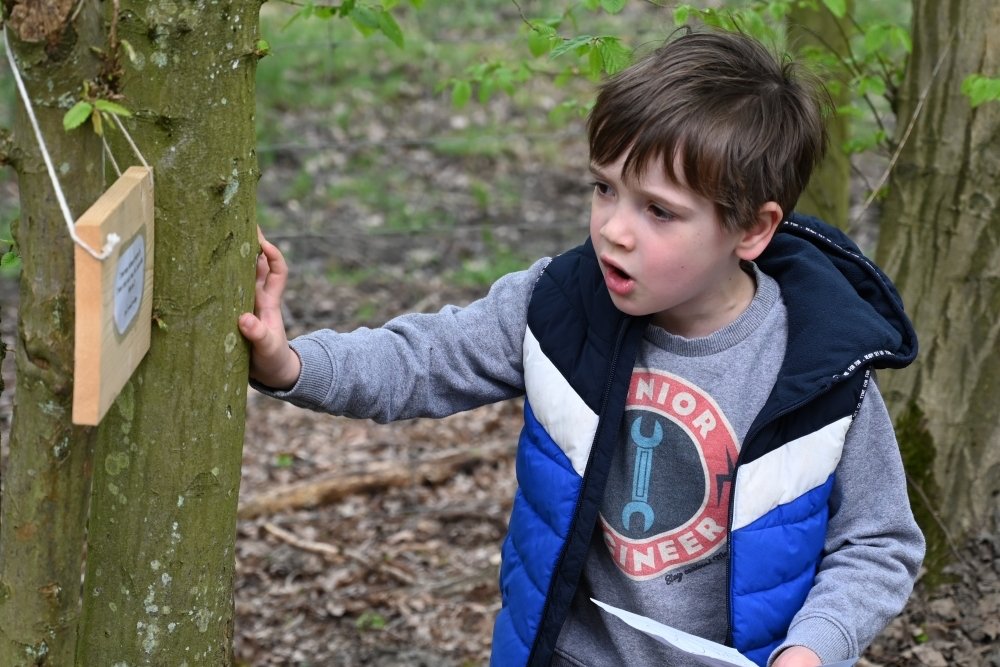 Celtic Harmony Fairy Trail_17 copy