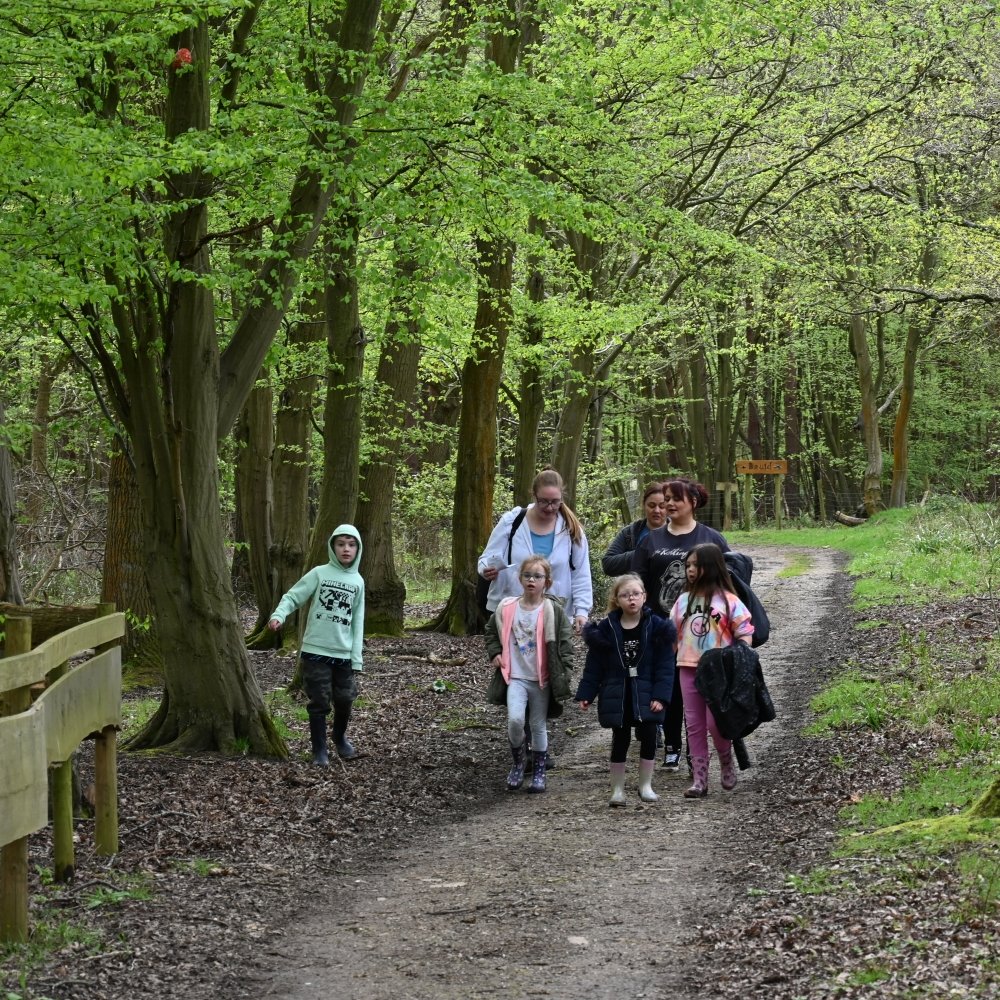 The Faery Trail - Image 8