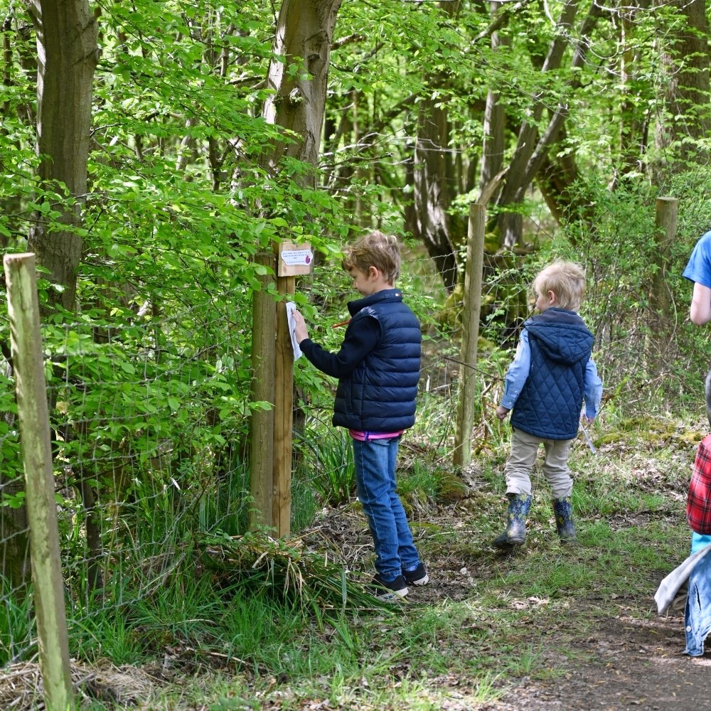 The Faery Trail - Image 5