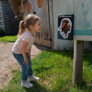 The Faery Trail