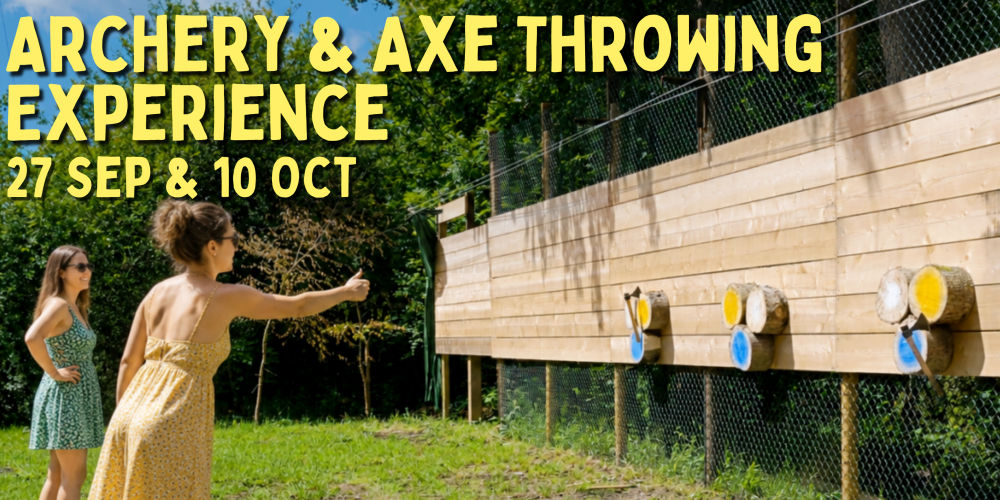 Axe Throwing Cover